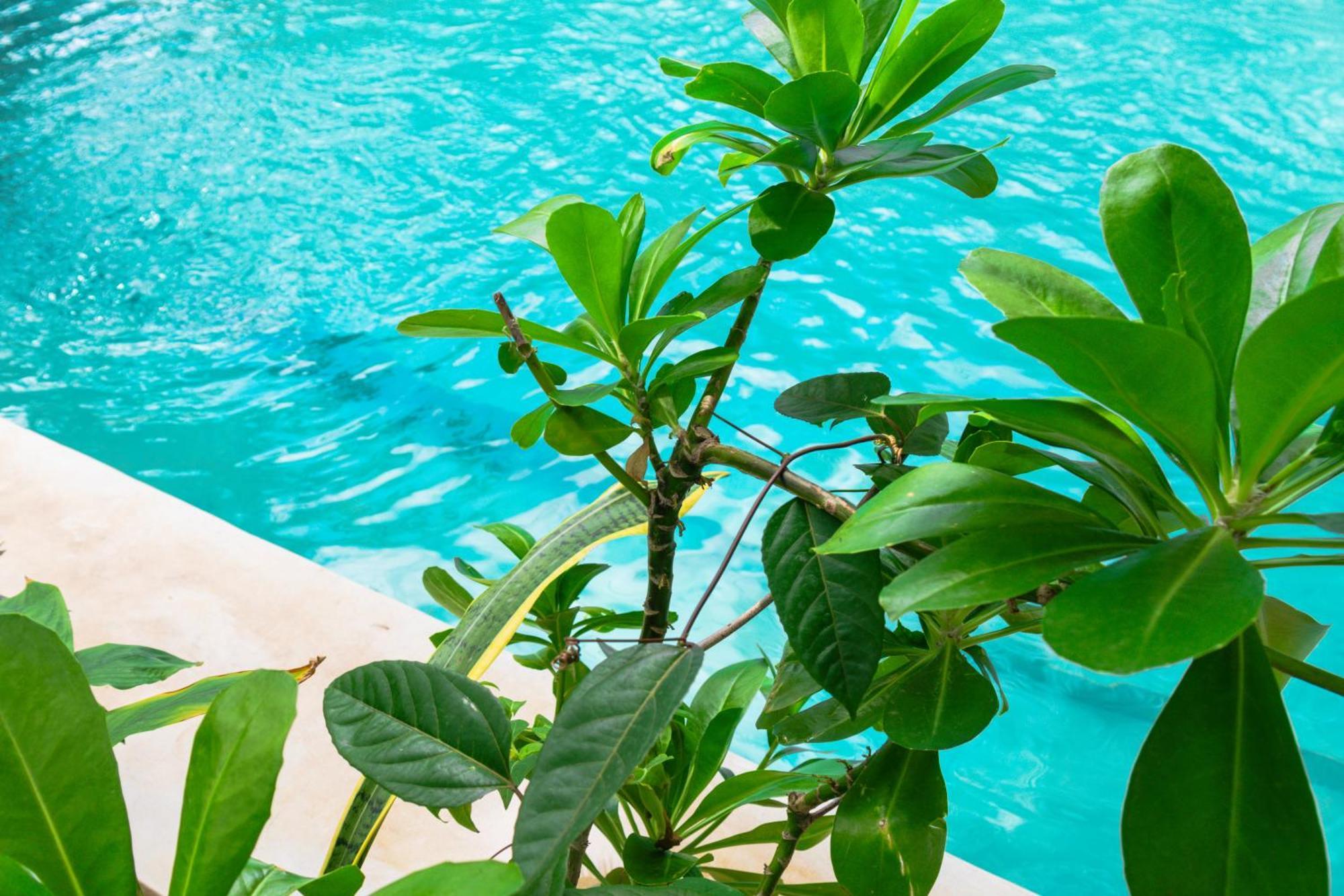 Pili Pili Palm Beach Jambiani  Εξωτερικό φωτογραφία