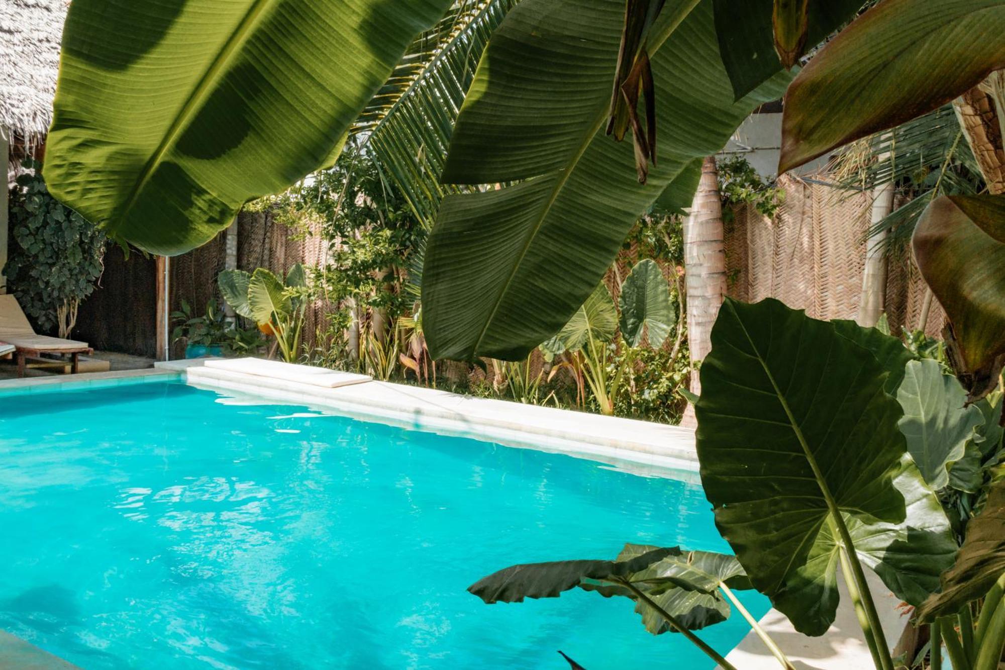 Pili Pili Palm Beach Jambiani  Εξωτερικό φωτογραφία
