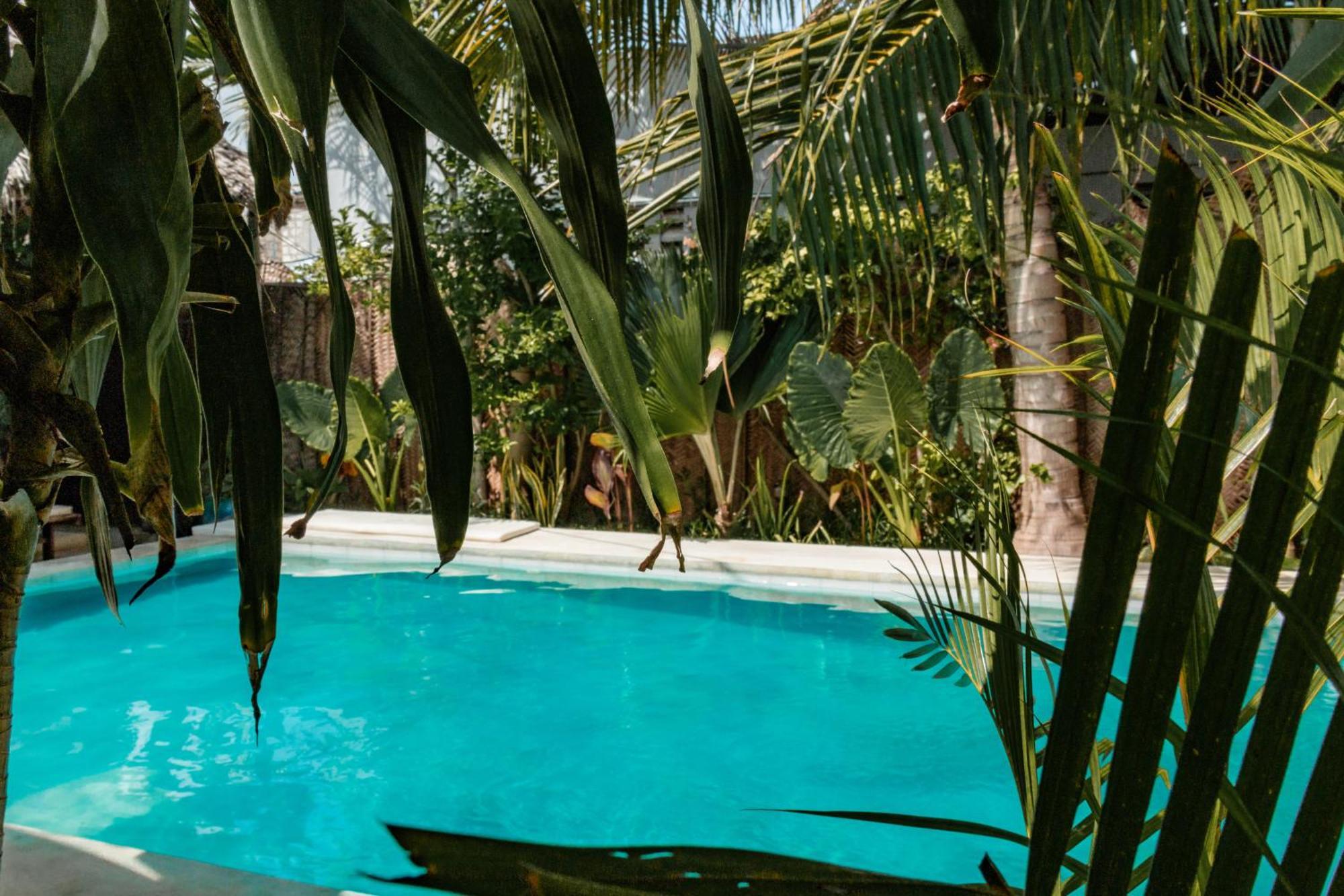Pili Pili Palm Beach Jambiani  Εξωτερικό φωτογραφία